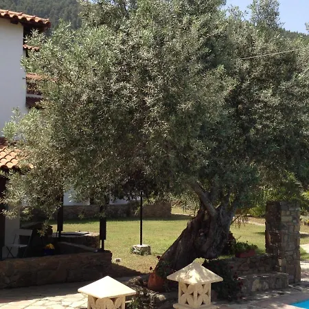 Vour 52 וורוורו