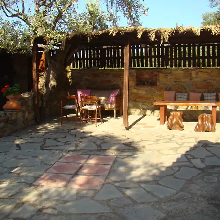 Vour 52 * וורוורו